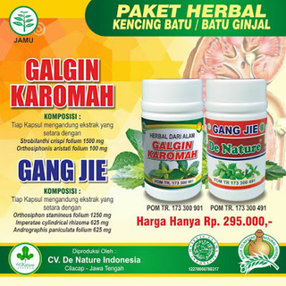 Illustration for article titled Penyakit Batu Ginjal dan Gambarnya